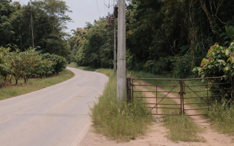 Estrada de asfalto claro no Sul da Bahia seguindo ao longe, com um portao de metal antigo fechado na beira da pista